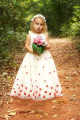 Fairy (by Heather-L)