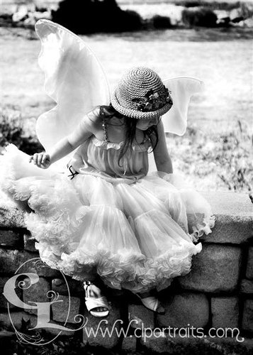 Flutter (by Heather-L)