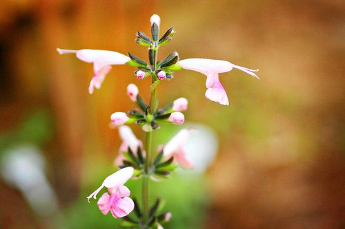 5-24 (by Heather-L)