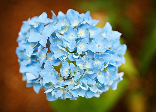 5-27 (by Heather-L)
