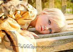 Golden (by Heather-L)