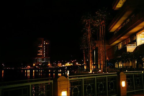 2/52: Tampa at night (by Heather-L)