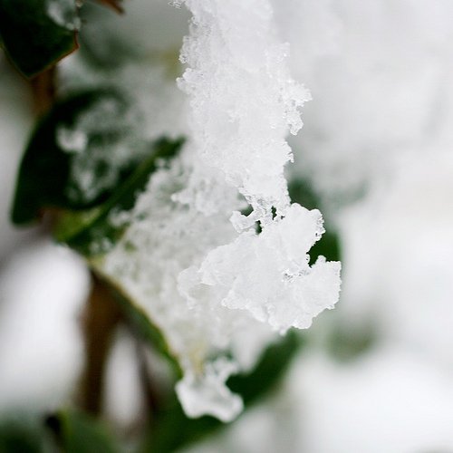 Snow! (by Heather-L)