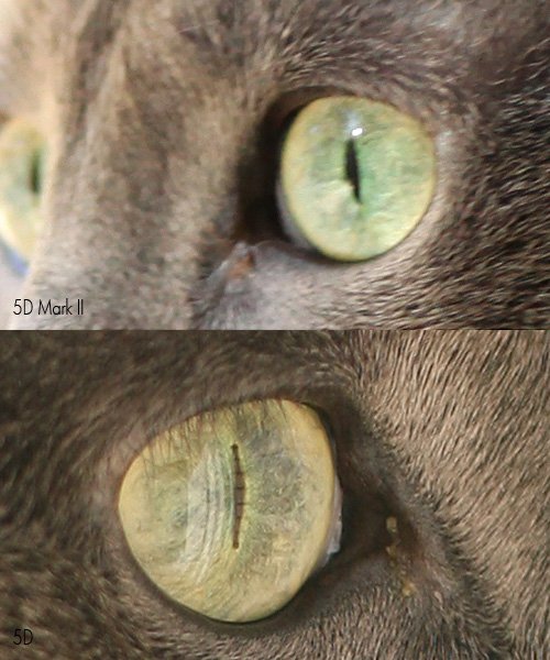 5d5d2comp2