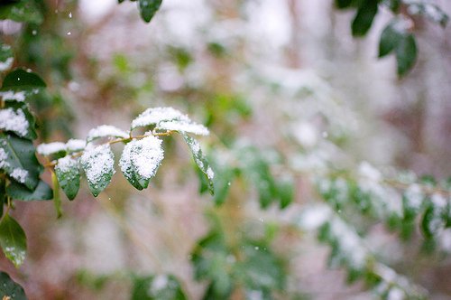 http://www.crickie.com/wp-content/uploads/2010/02/4352256883_c8a68face9.jpg