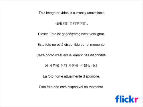 http://www.crickie.com/wp-content/uploads/2010/02/4353003850_0993742ebb.gif