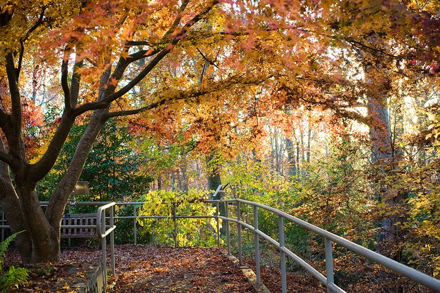 http://www.crickie.com/wp-content/uploads/2010/11/5212740750_dc34b74089_z.jpg