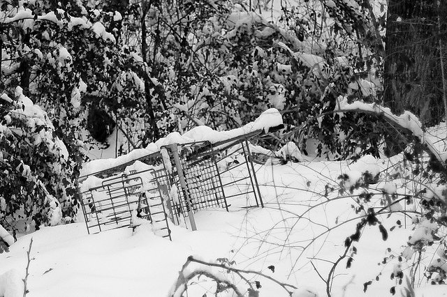 Snow and ice