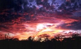 Sunsets