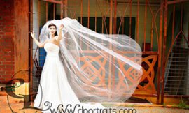 Trash the dress