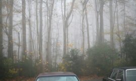 3/52: Fog