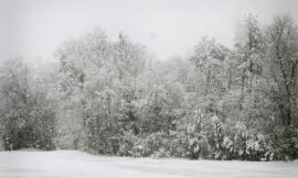 Snow