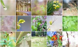 March, Morning light