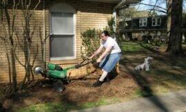 A new phase in gardening