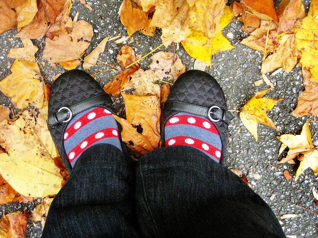 Read more about the article Gratitude Project Day 13