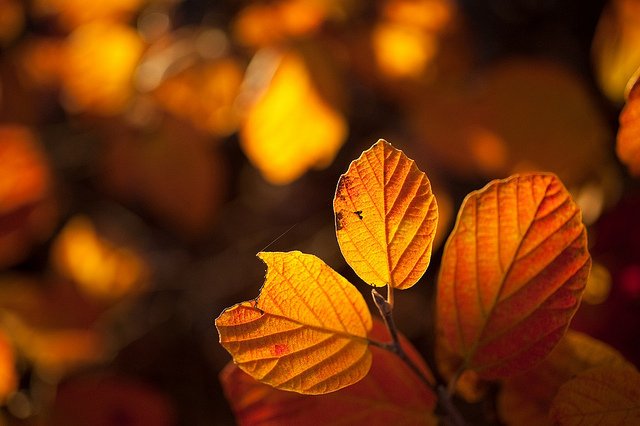 Read more about the article Gratitude project day 17