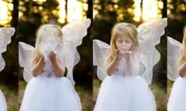 Concept faeries