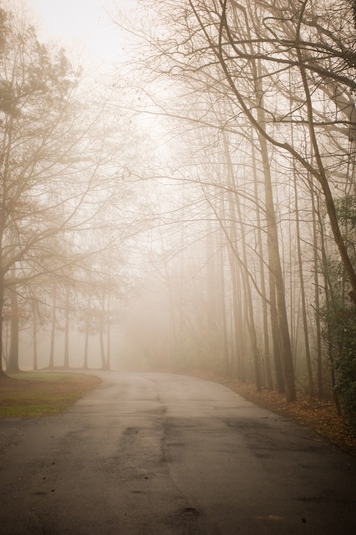 Read more about the article Fog
