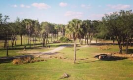 The fantastic view from our #outside balcony at the Animal Kingdom Lodge. #projectlife365
