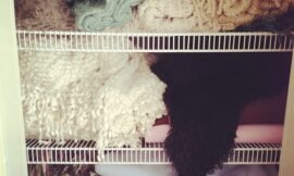 #projectlife365 I think we need #more closet space for blankets.