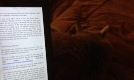 #good_times every night for us. Reading in bed side by side, with a cat. Now if only we could get first cat to allow second cat to sleep with us, it’d be perfect. #projectlife365