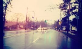 #my_view today for #projectlife365 It’s a nasty mucky cold wet grey day.