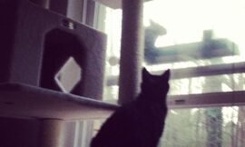 In our house, not even the squirrel gets to dine in #private #projectlife365