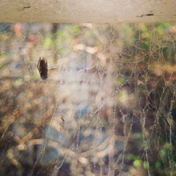 Read more about the article #beware little bugs. #projectlife365