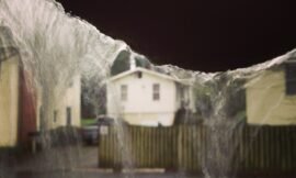 # splash #projectlife365