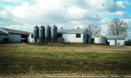I pass the college farms every day on my #daily_commute #projectlife365