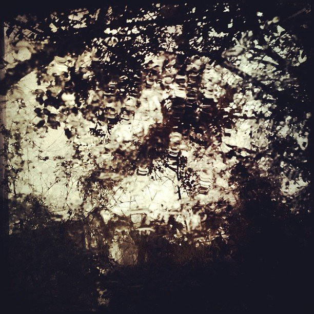 Read more about the article Drip drip drop little (March) showers is about as #musical as I got today. #projectlife365