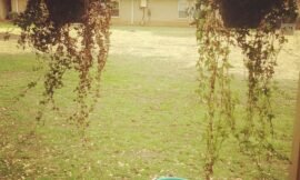 I was #a_fool and didn’t do yesterday’s prompt, so here is a picture of the view from our porch. #projectlife365