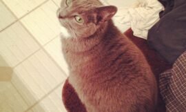#unconditional_love will give you dirty looks while she watches you in the bathroom. #projectlife365