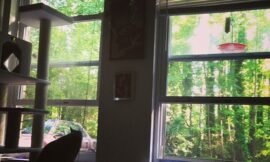 A #satisfying Saturday. Home with the windows open. #projectlife365