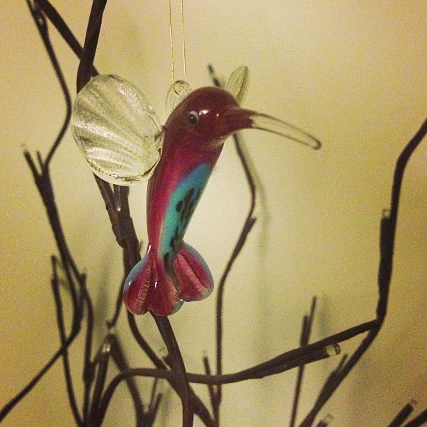 Read more about the article My sister brought me #a_trinket from her travels because she knows I love hummingbirds. #projectlife365