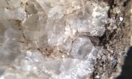 Under the #cement #projectlife365 #squidcammacro #pureiphonemacro
