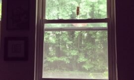 Watching the rain with the windows open is pure #bliss #projectlife365