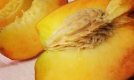 Locally grown all natural peaches! #projectlife365