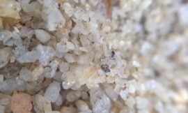 Even playground sand is neat to look at with #squidcammacro! #pureiphonemacro #projectlife365
