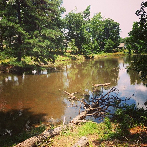 Read more about the article Looking at new things. #projectlife365