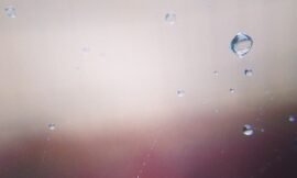 Spiderweb droplets. #projectlife365 #pureiphonemacro #dropletlikeitshot #squidcammacro #vsconature