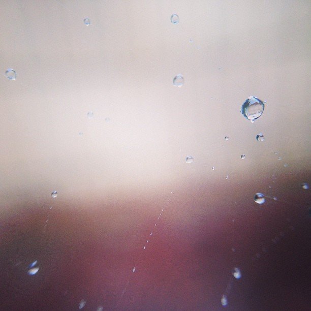 Read more about the article Spiderweb droplets. #projectlife365 #pureiphonemacro #dropletlikeitshot #squidcammacro #vsconature