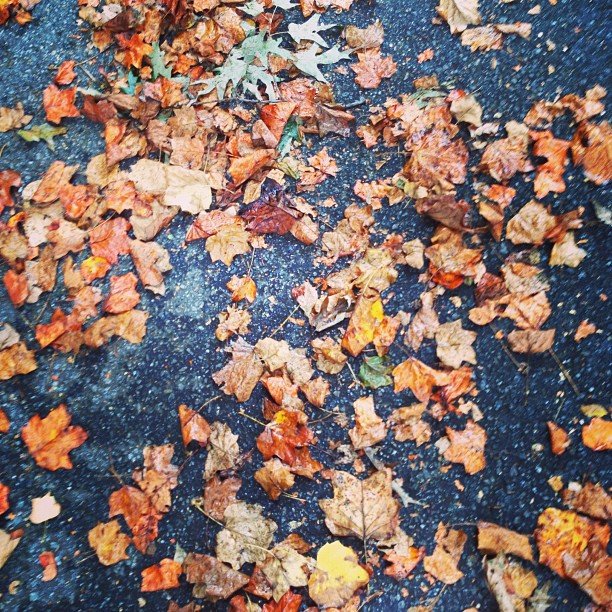 Read more about the article I think autumn is coming. #projectlife365