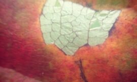 Fall is in the air.. #projectlife365