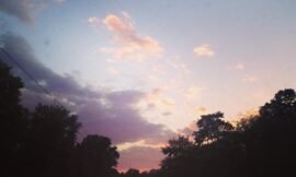 I was ten minutes late to last night’s sunset. I get the feeling that it was amazing. #projectlife365