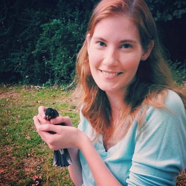 Read more about the article Rescuing birds again. #projectlife365