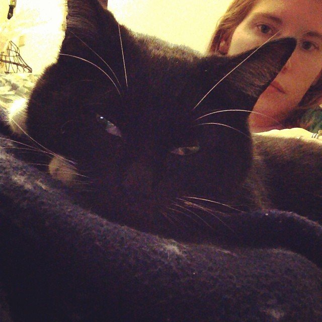 Read more about the article I think Interloper isn’t feeling well today. She needs extra snuggles. #projectlife365