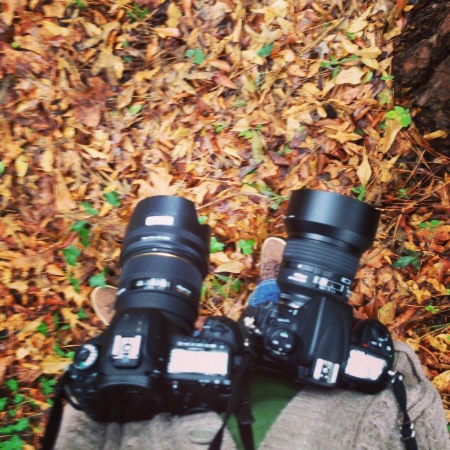 Read more about the article Testing out the rental and mine side-by-side. #projectlife365