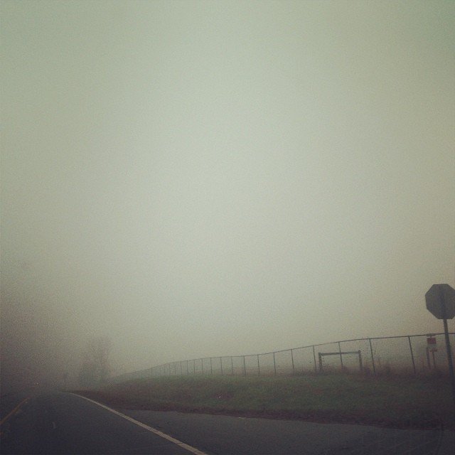 Read more about the article We don’t often get fog like this here. #projectlife365