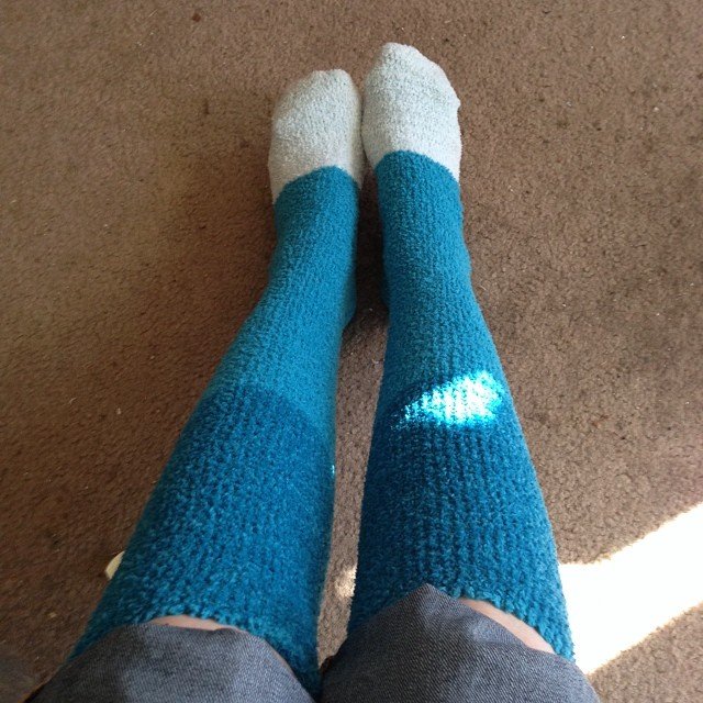 Read more about the article I think 30F is long fuzzy warm sock weather. #projectlife365